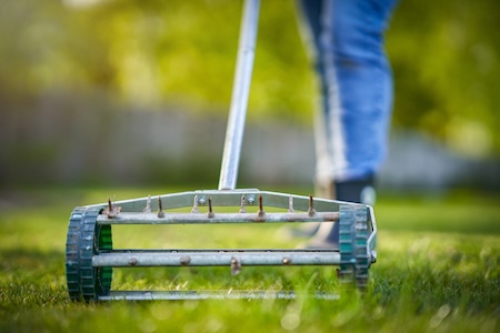 Aeration vs. Dethatching: Which Does Your Cecil County Lawn Actually Need? Thumbnail