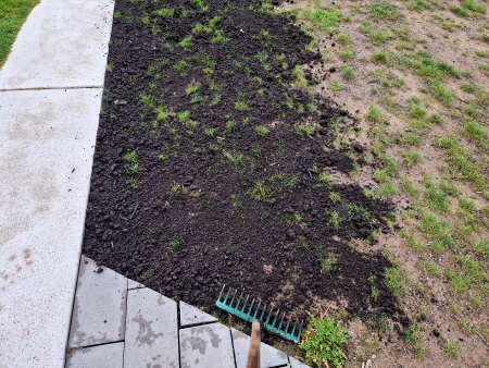 Top Dressing Thumbnail